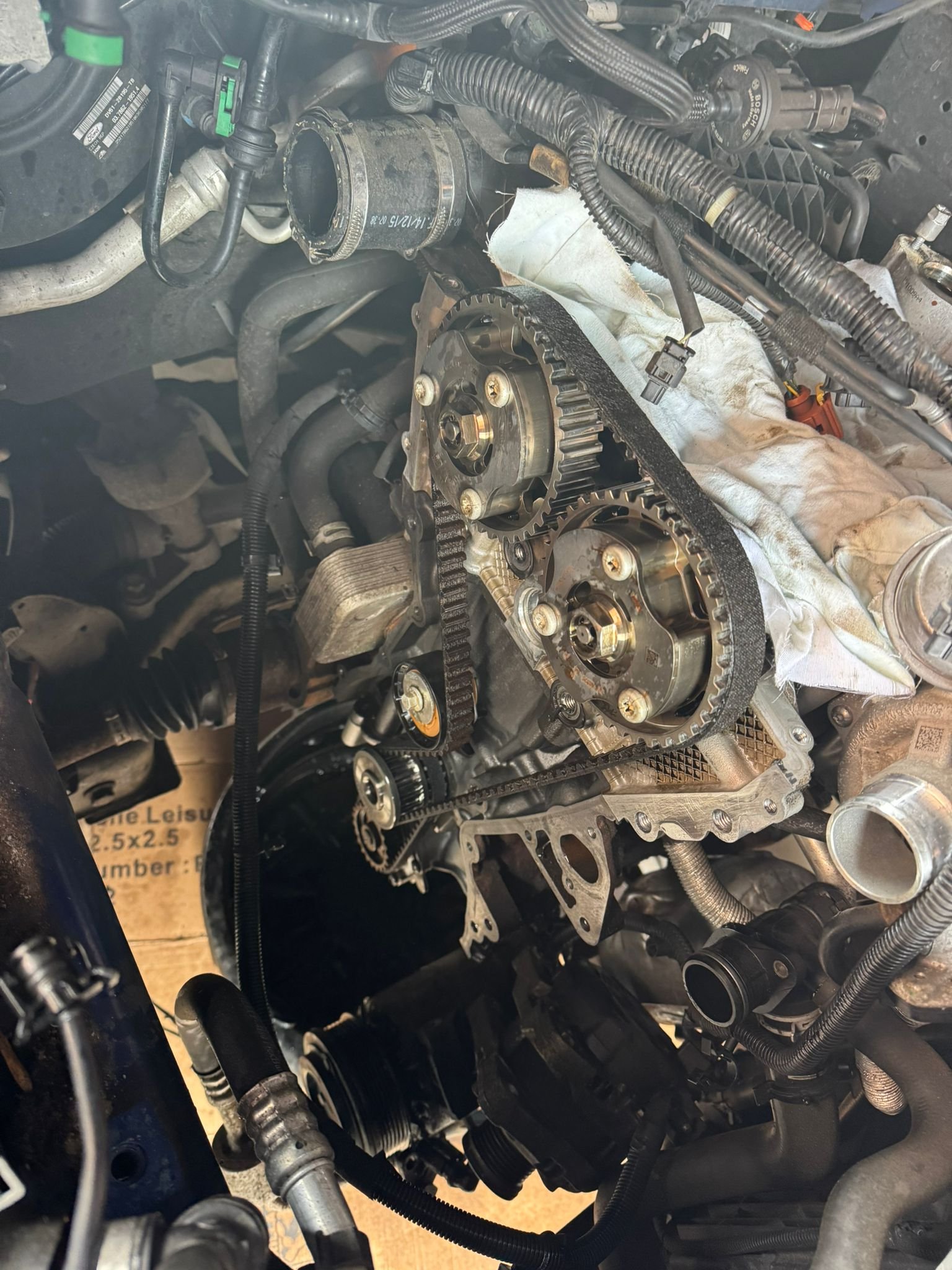 Read more about the article Why you should change your wet belt